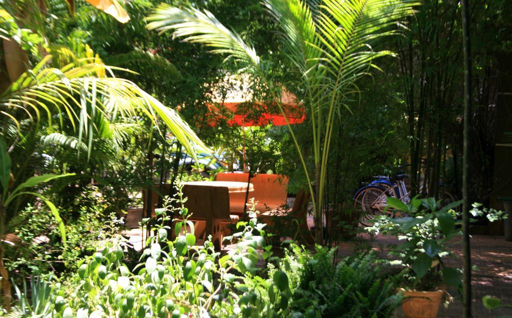 Firefly Guesthouse - The Berlin Angkor Σιέμ Ρέαπ Εξωτερικό φωτογραφία