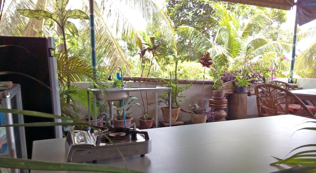 Firefly Guesthouse - The Berlin Angkor Σιέμ Ρέαπ Εξωτερικό φωτογραφία
