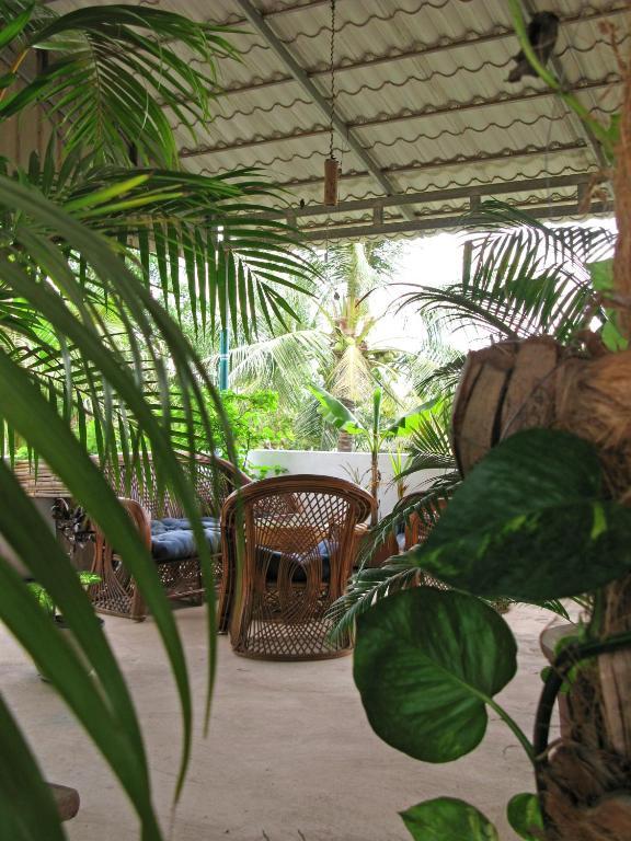 Firefly Guesthouse - The Berlin Angkor Σιέμ Ρέαπ Εξωτερικό φωτογραφία